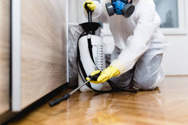 Pest Control for Restaurants in Dollar Bay, MI