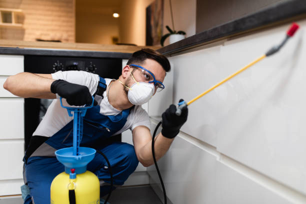 Best Best Pest Control Companies  in Dollar Bay, MI