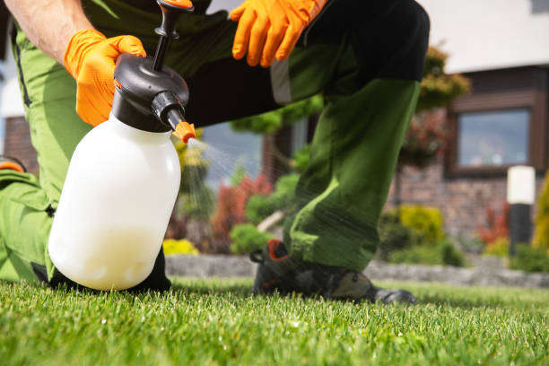 Best Rat Extermination Near Me  in Dollar Bay, MI