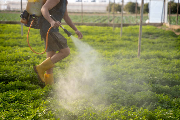 Best Pest Removal Services  in Dollar Bay, MI