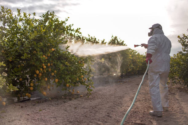 Best Ant Control Services  in Dollar Bay, MI