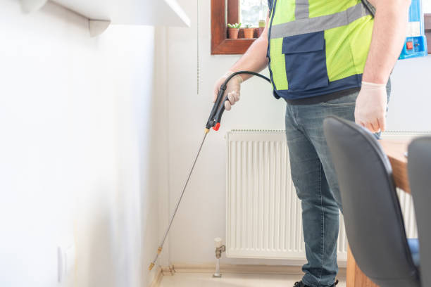 Best Wasp Removal Services  in Dollar Bay, MI