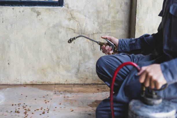 Best Mosquito Control Services  in Dollar Bay, MI
